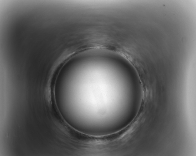 X0000088720198200706071626