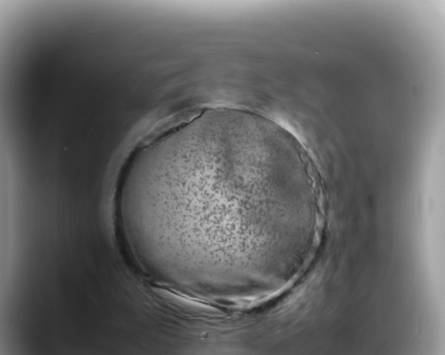 X0000088720199200706071626