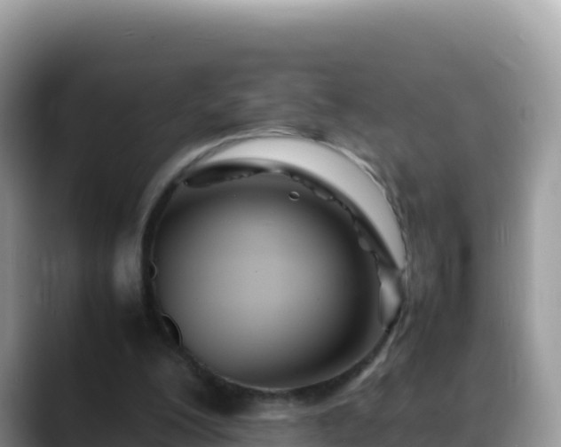 X0000088720200200706071626
