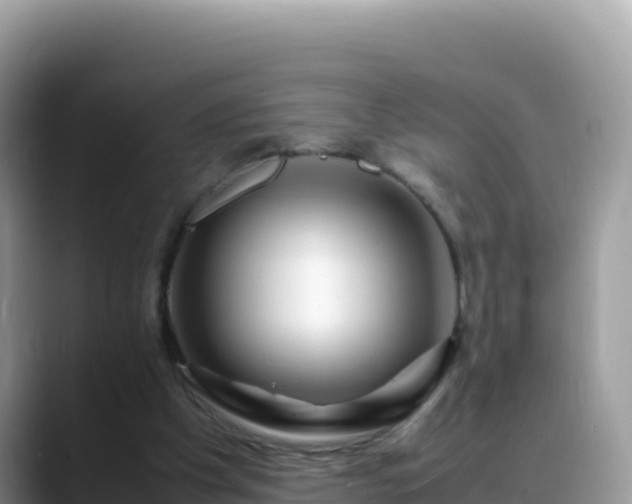 X0000088720201200706071626