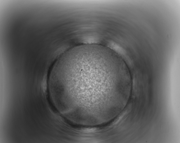 X0000088720202200706071626