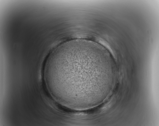 X0000088720203200706071626
