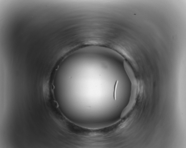 X0000088720204200706071626