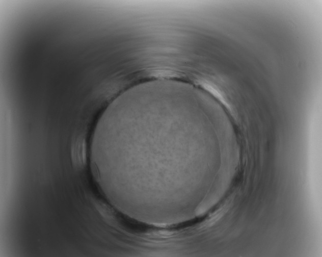 X0000088720205200706071626