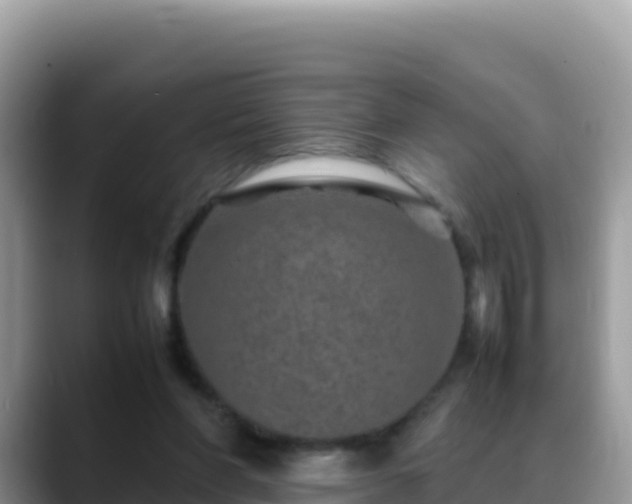 X0000088720206200706071626