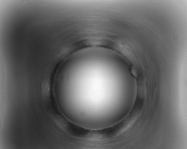 X0000088720207200706071626