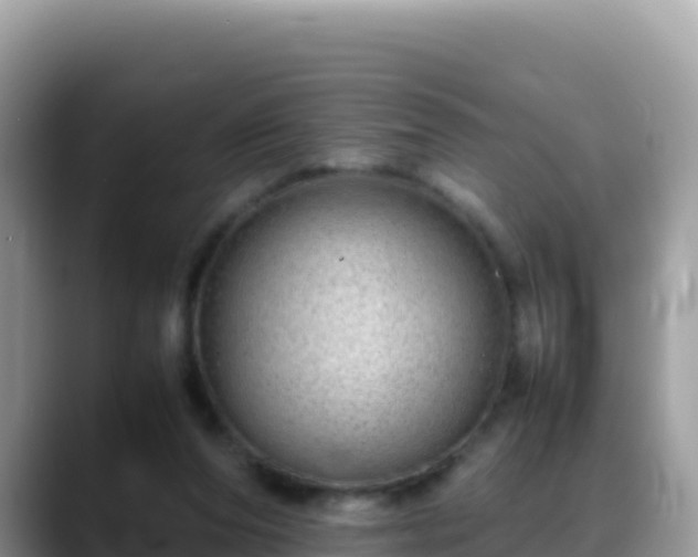 X0000088720208200706071626