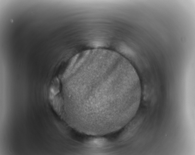 X0000088720210200706071626