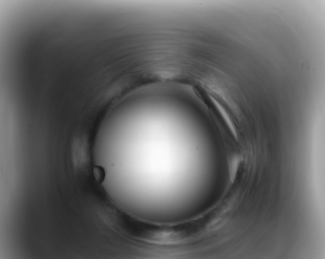 X0000088720212200706071626