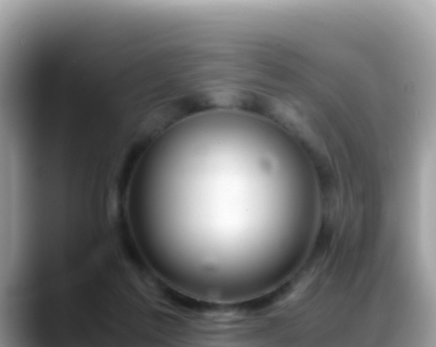 X0000088720213200706071626