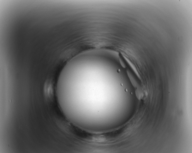 X0000088720214200706071626