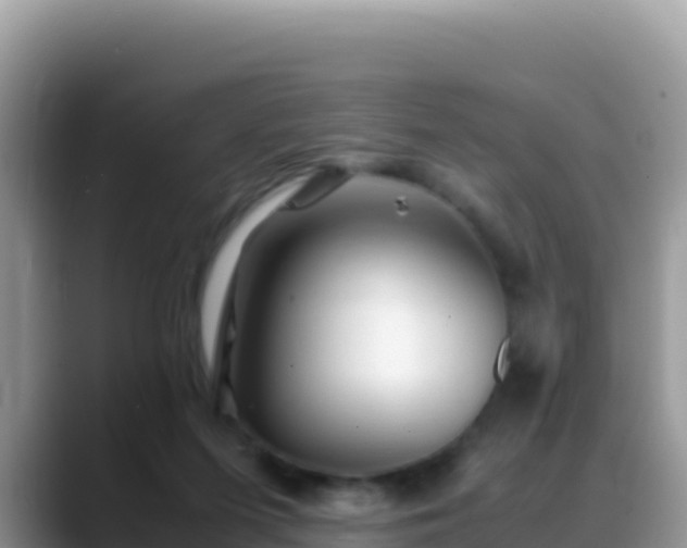 X0000088720215200706071626