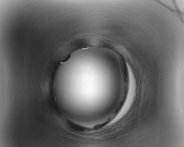X0000088720217200706071626