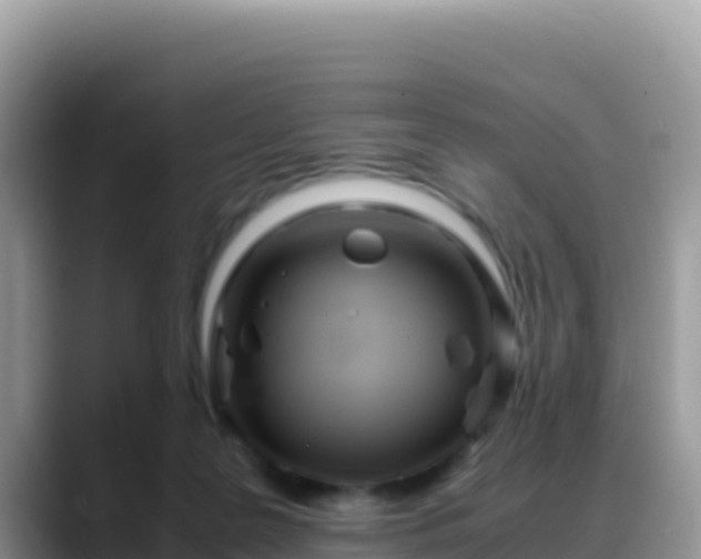 X0000088720219200706071626