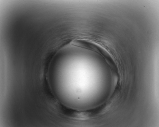 X0000088720221200706071626