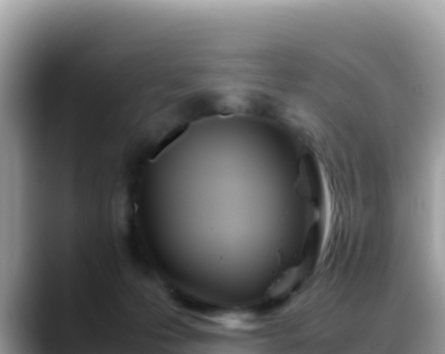 X0000088720223200706071626