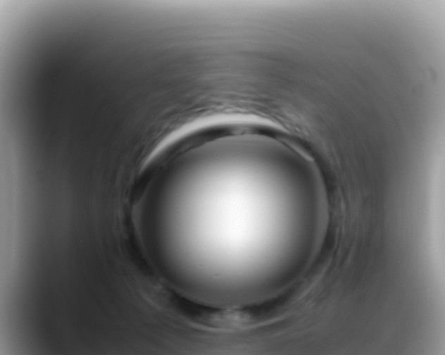 X0000088720225200706071626