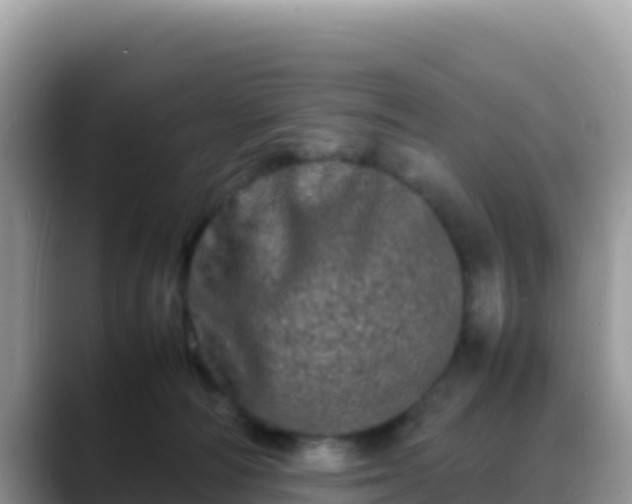 X0000088720226200706071626