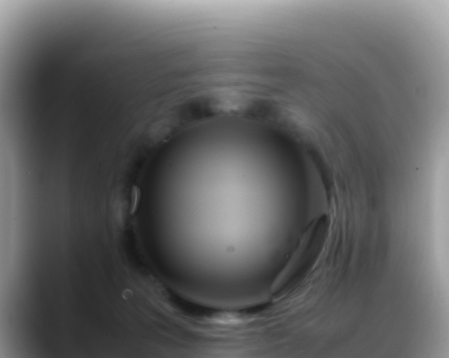 X0000088720227200706071626
