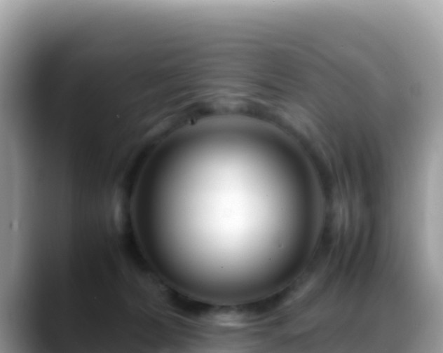 X0000088720228200706071626