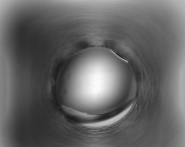 X0000088720229200706071626