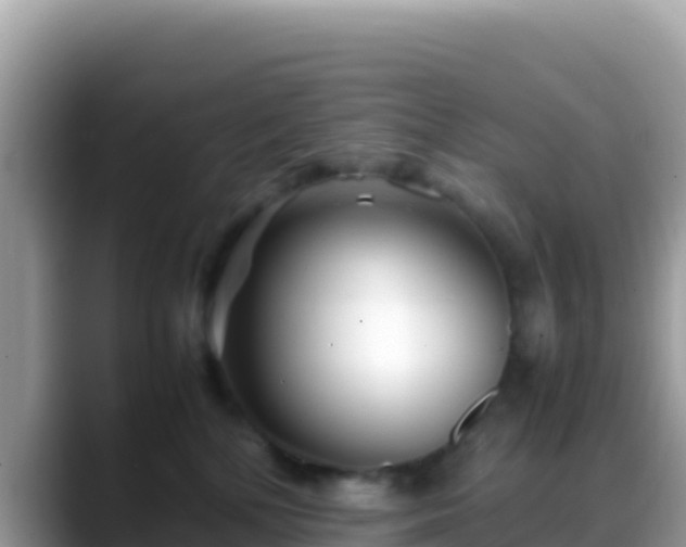 X0000088720232200706071626