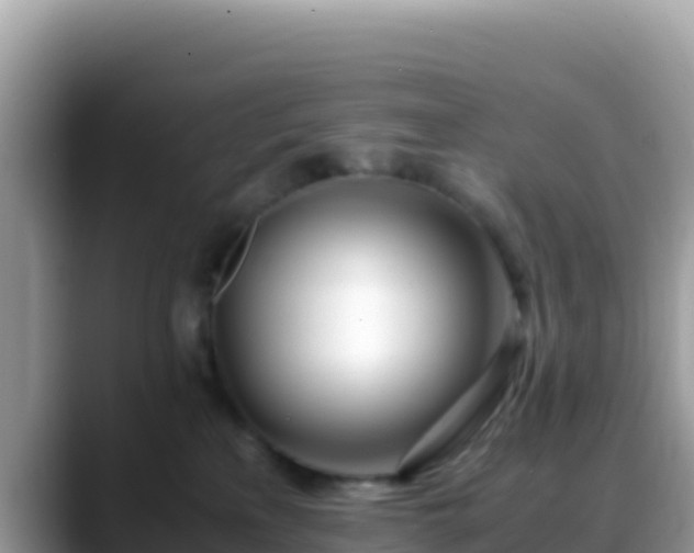 X0000088720233200706071626