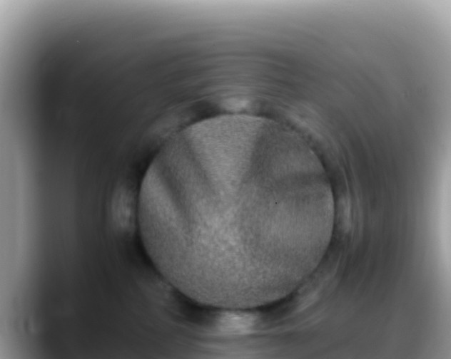 X0000088720234200706071626