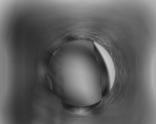 X0000088720235200706071626