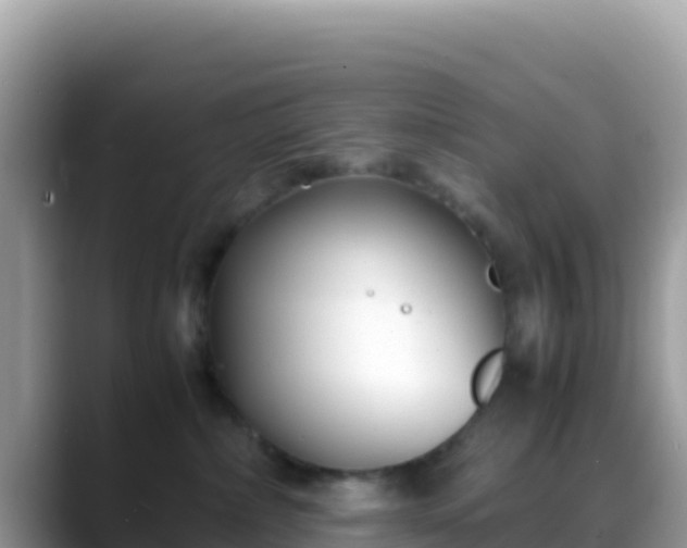 X0000088720236200706071626
