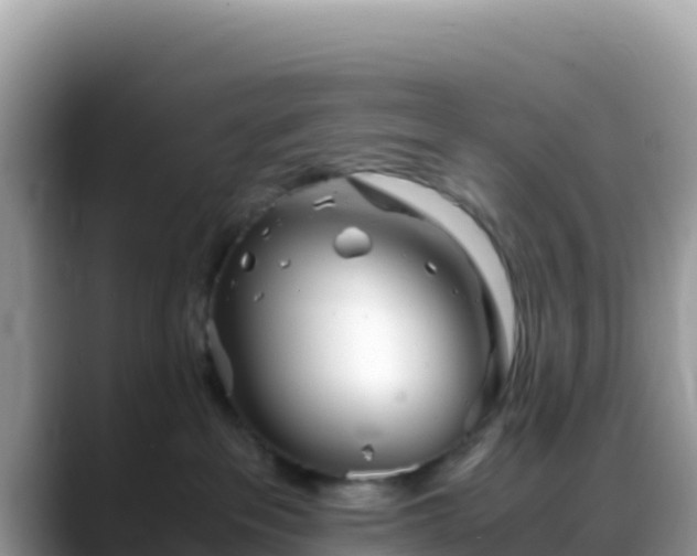 X0000088720237200706071626