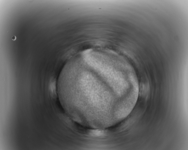 X0000088720238200706071626