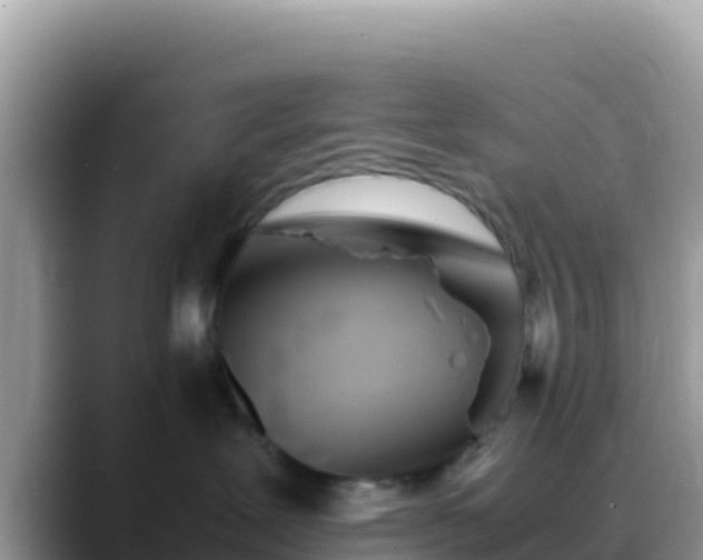 X0000088720239200706071626
