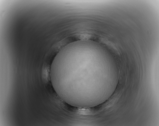 X0000088720240200706071626