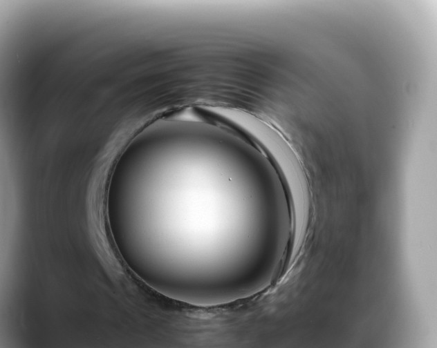 X0000088720241200706071625