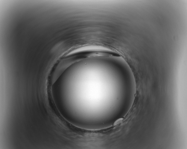 X0000088720242200706071625