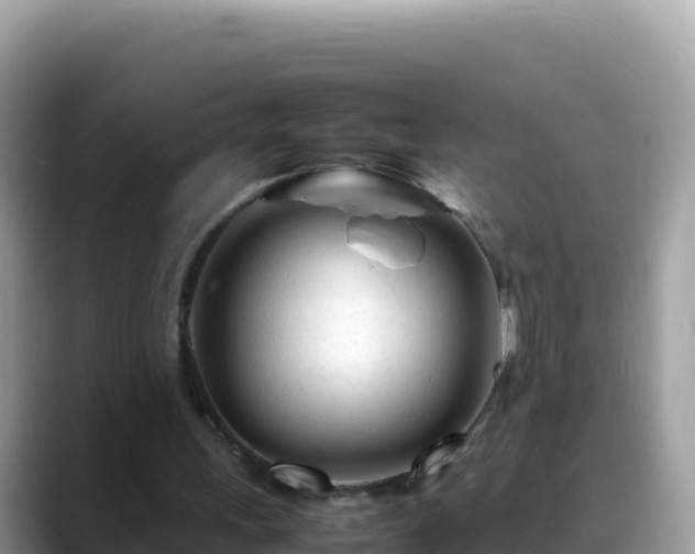 X0000088720243200706071625
