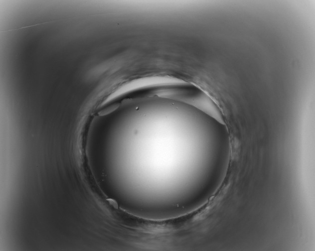X0000088720245200706071625