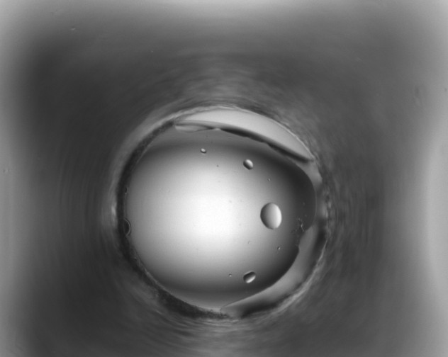 X0000088720246200706071625
