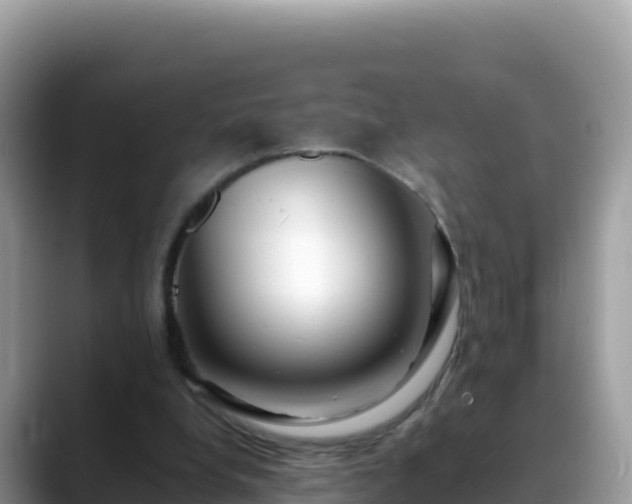 X0000088720248200706071625