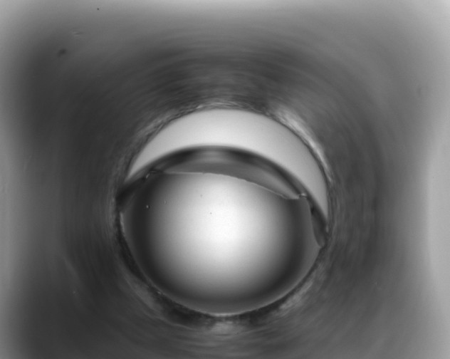 X0000088720249200706071625