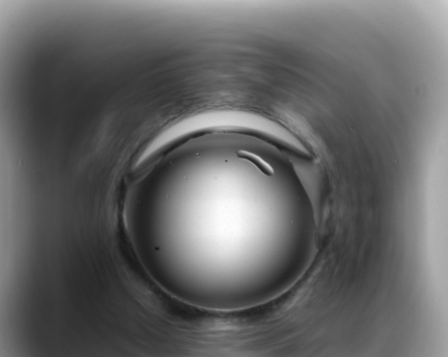 X0000088720250200706071625