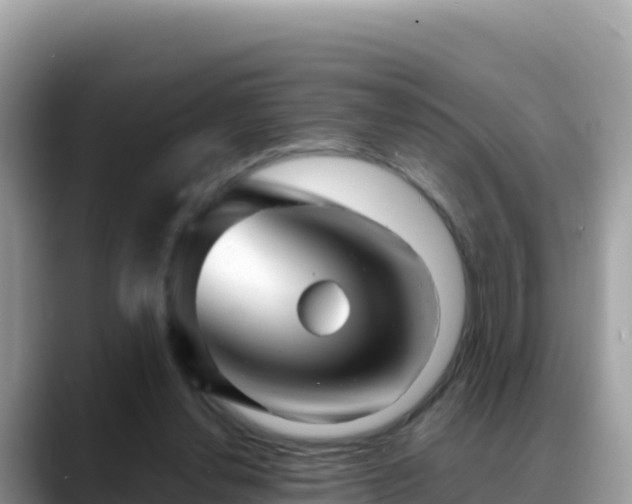 X0000088720252200706071625