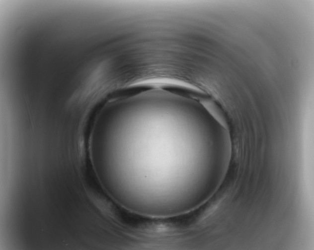 X0000088720254200706071625