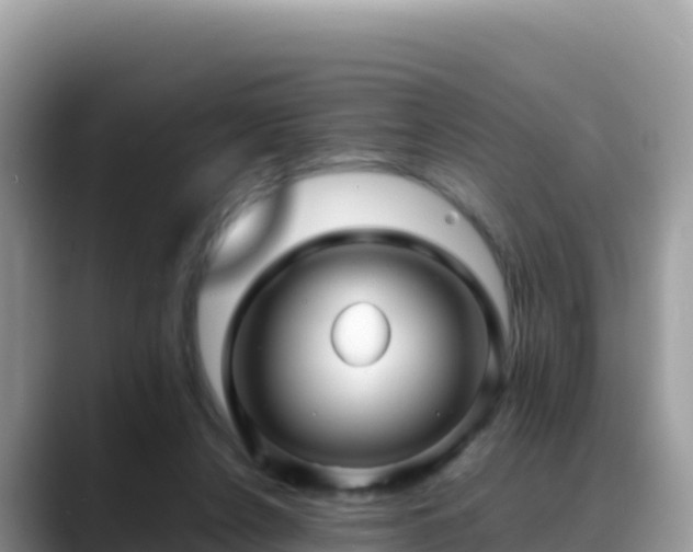 X0000088720256200706071625