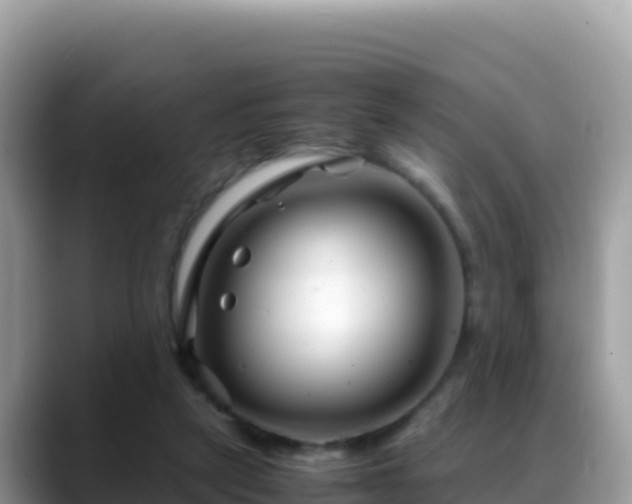 X0000088720257200706071625