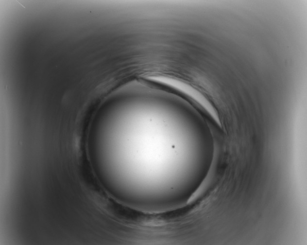 X0000088720258200706071625