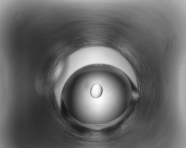 X0000088720260200706071625