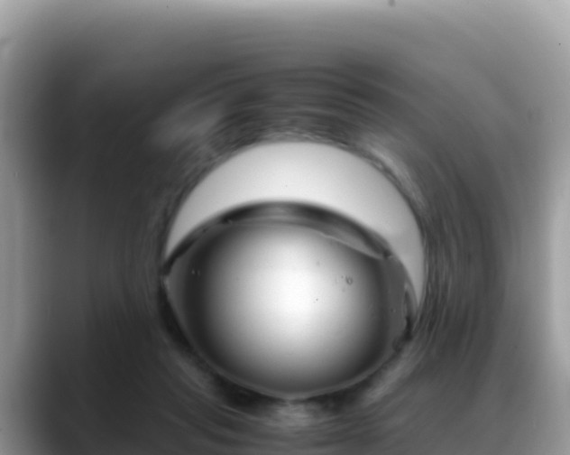 X0000088720261200706071625