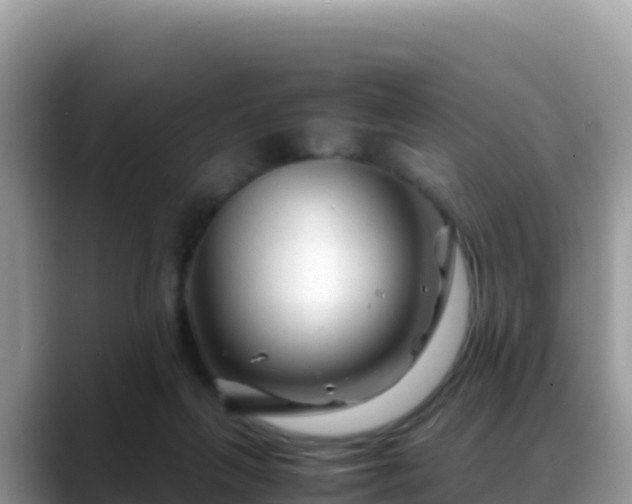 X0000088720263200706071626